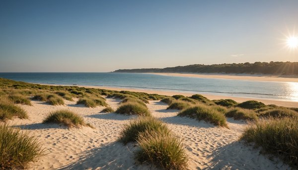 Détente et loisirs aquatiques à argelès-sur-mer